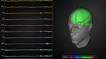 EEG data visualization with 3D Mesh Model. - Visualization of EEG data with 3D Mesh Model and line charts